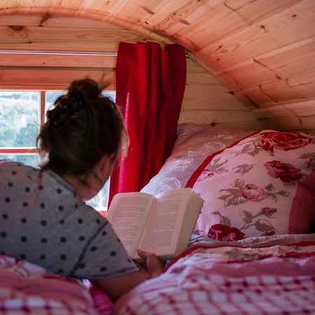 Camping-Erbenwald Neubulach ภายนอก รูปภาพ